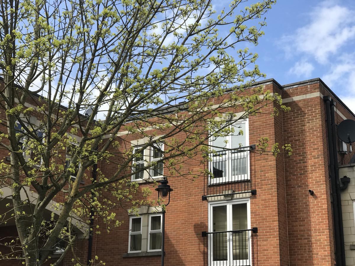 Godwin Court 21 Διαμέρισμα Σουίντον Εξωτερικό φωτογραφία